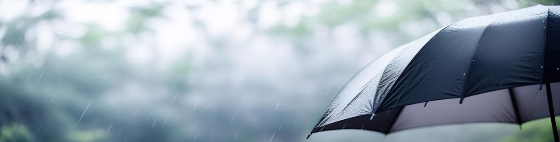 bannersiteguardachuva