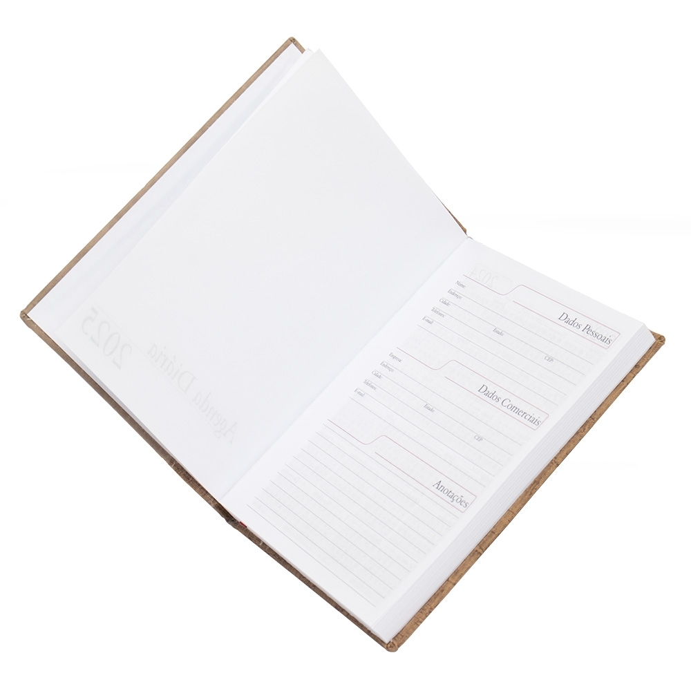 Agenda-Diaria-2025-7873d1-1724767528