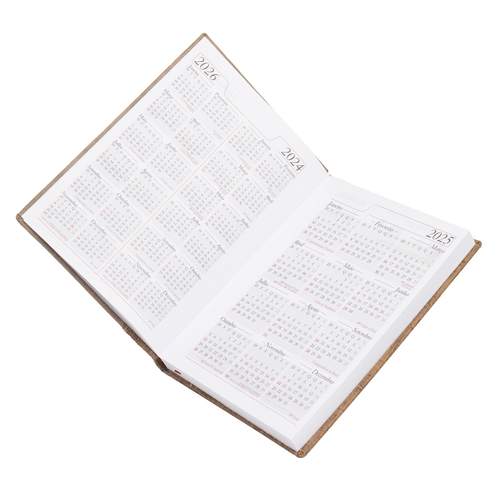 Agenda-Diaria-2025-7873d2-1724767529