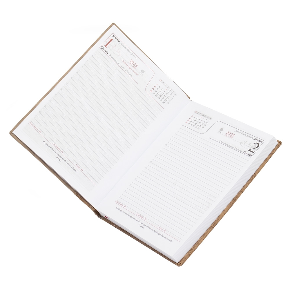 Agenda-Diaria-2025-7873d3-1724767529