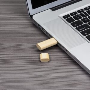 XZ038 - Pen Drive Bambu
