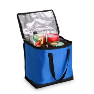 Bolsa-Termica-20-Litros-23758d2-1752856476 Bolsa Térmica 27L