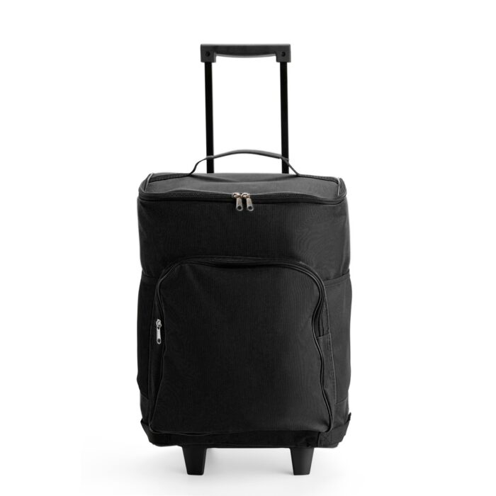 Bolsa Térmica 30L com Rodinhas