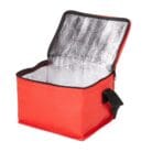 Bolsa Térmica 5 Litros