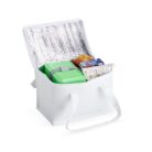 Bolsa-Termica-6-Litros-17303d2-1697224344