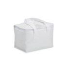 Bolsa-Termica-6-Litros-17303d3-1697224344