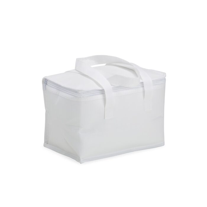 Bolsa-Termica-6-Litros-17303d3-1697224344